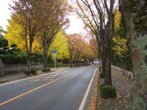 c0103119_1341597.jpg