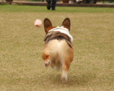 e0071225_15573693.jpg