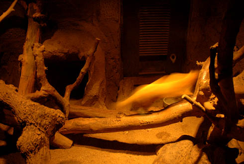 c0066827_10514225.jpg