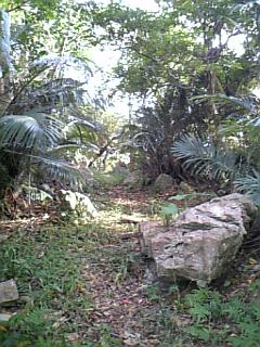 e0016828_20212566.jpg