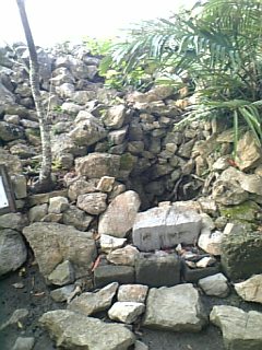 e0016828_2110967.jpg