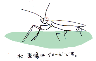 c0019433_11132837.gif