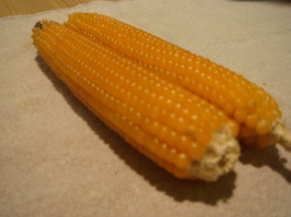 e0096340_2392716.jpg