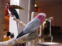 c0081552_14394017.jpg