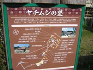 c0081552_21362999.jpg