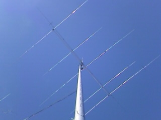 a0004359_0171555.jpg