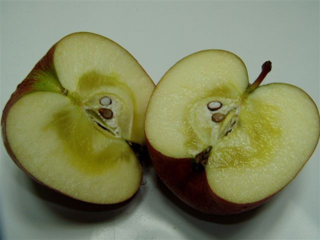 f0013459_20365855.jpg