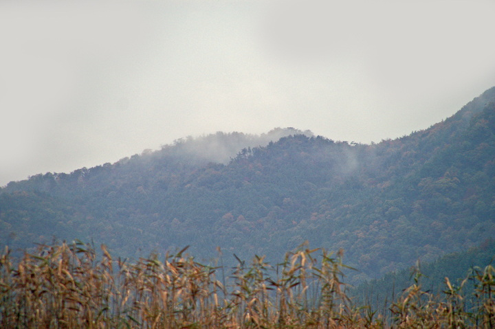 e0002371_061936.jpg