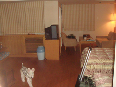 b0091373_15275.jpg