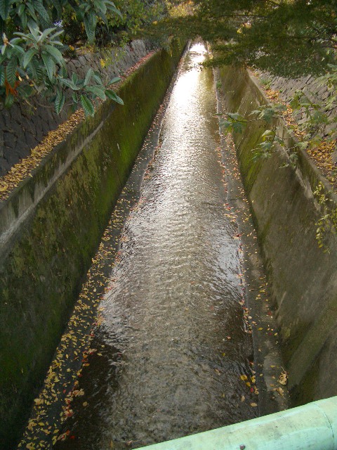 f0089079_9261659.jpg