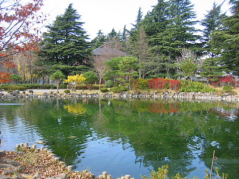 a0079880_1114783.jpg