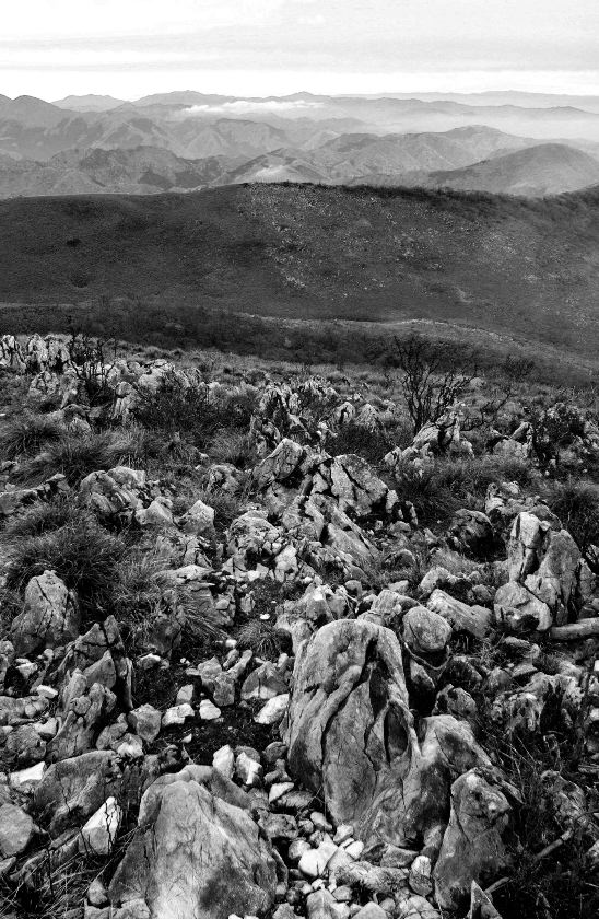 d0037282_19434017.jpg