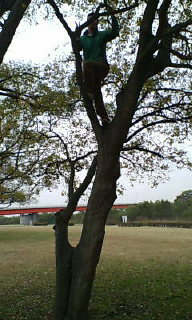 c0092787_1025351.jpg