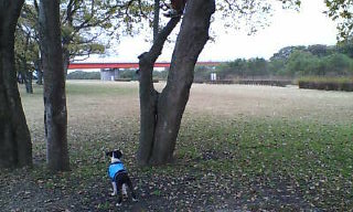 c0092787_1073998.jpg