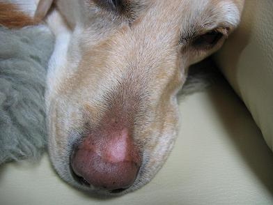 c0028792_2328032.jpg