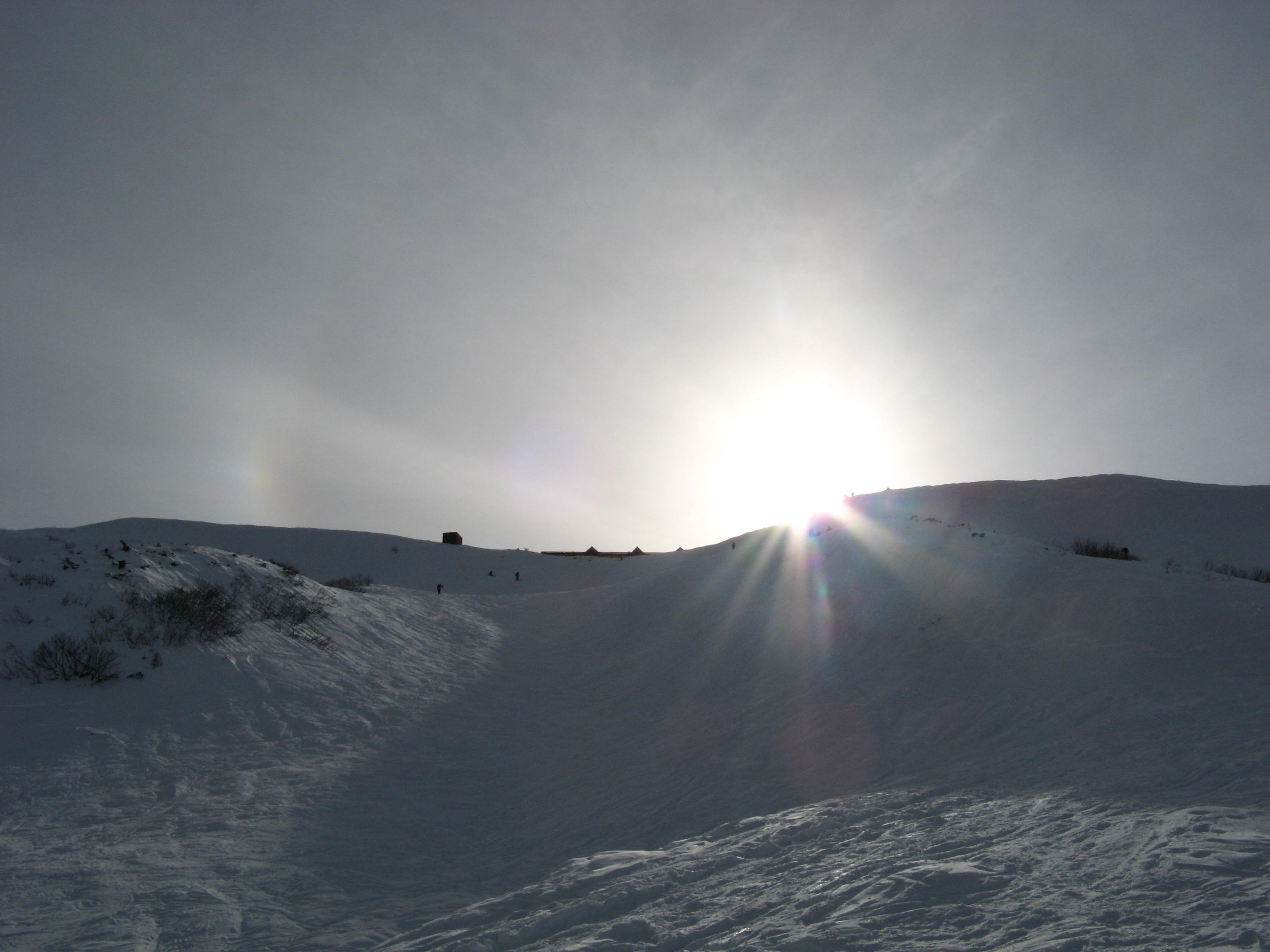 b0092694_23202816.jpg