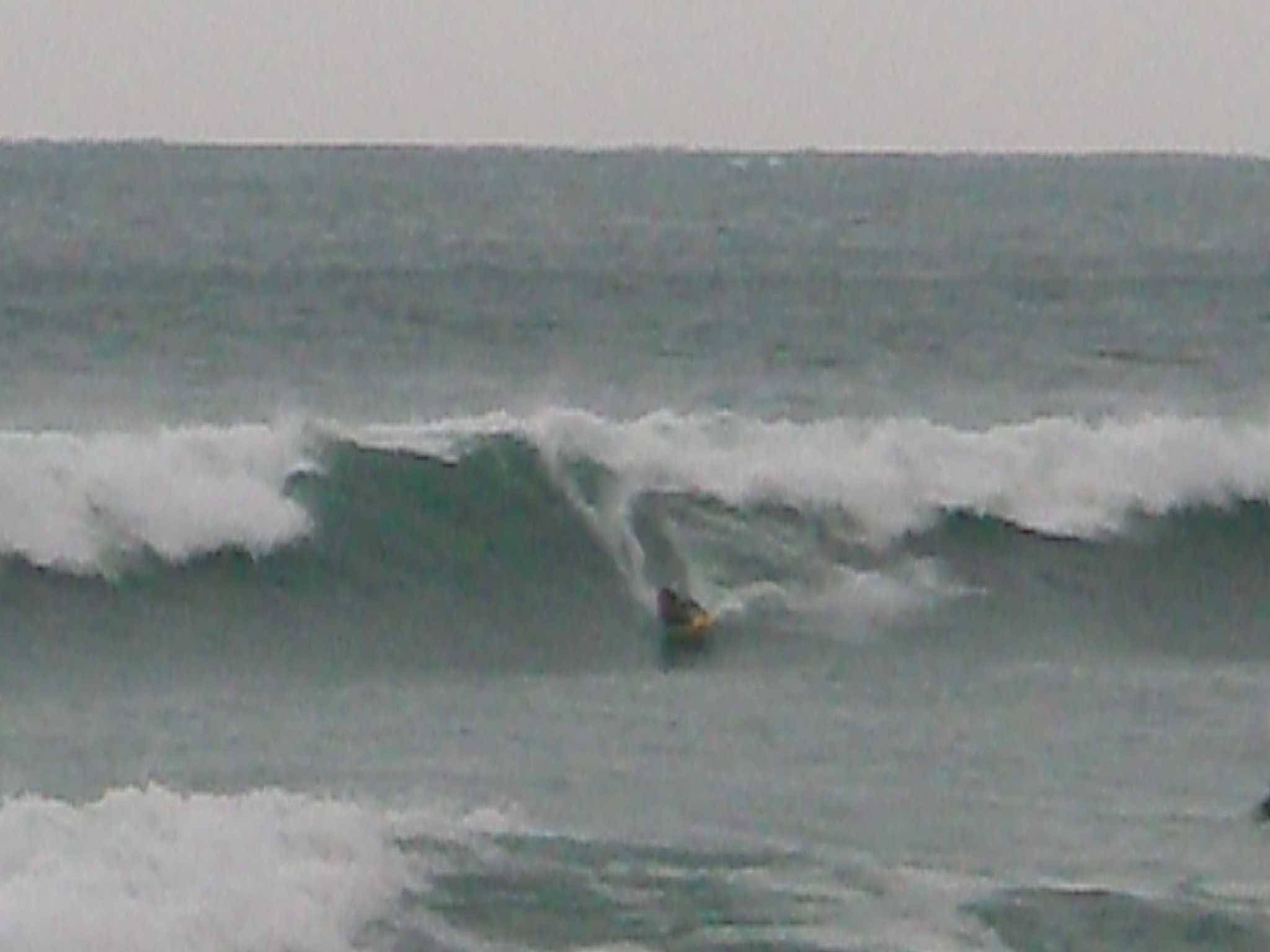 c0089501_2081831.jpg