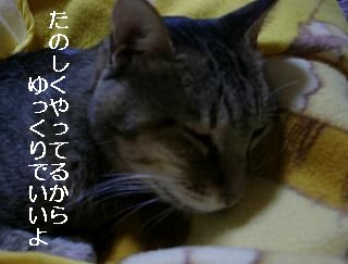 c0103205_1934356.jpg