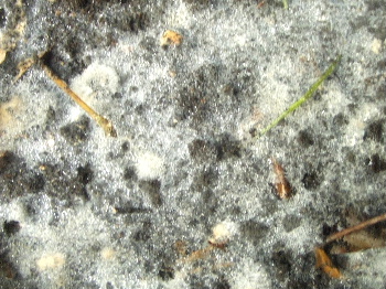 f0041606_1936727.jpg