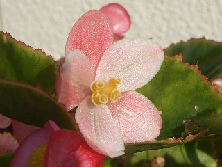 b0061107_23422037.jpg