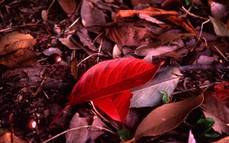 d0071507_22164876.jpg