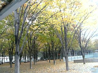 e0098908_2037198.jpg