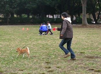 f0004309_10125765.jpg