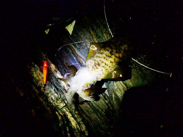 a0030715_1434979.jpg