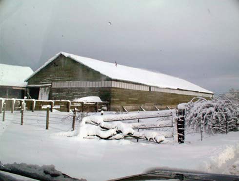 c0018716_8463529.jpg