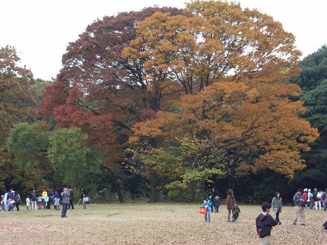 e0049318_11593468.jpg
