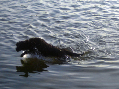 c0012120_1849598.jpg