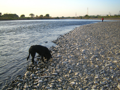 c0012120_18503538.jpg
