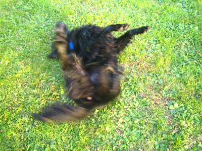 c0012120_18521629.jpg