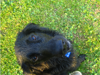 c0012120_18525668.jpg