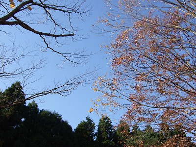 d0023323_21572332.jpg