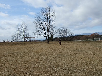 d0023323_23332318.jpg