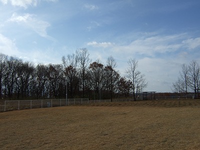 d0023323_23334522.jpg