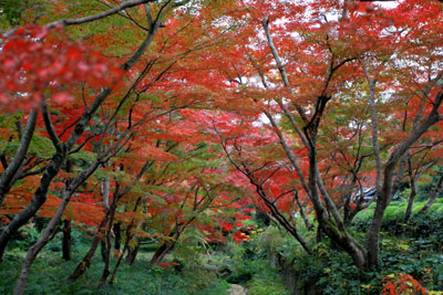 b0056924_22515474.jpg