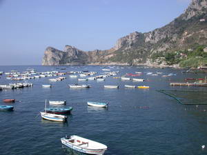 c0077533_20204087.jpg