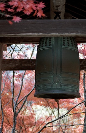 d0001533_19282912.jpg