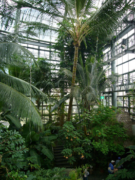 f0032434_13384713.jpg