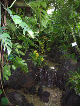 f0032434_13391570.jpg