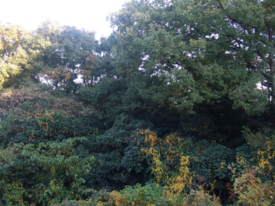 d0025545_8562599.jpg