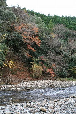 a0054948_19144565.jpg