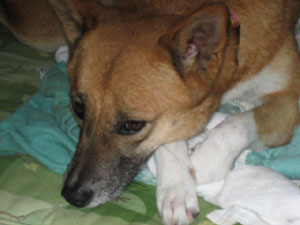 a0054948_20115579.jpg