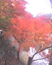 a0044551_12331094.jpg