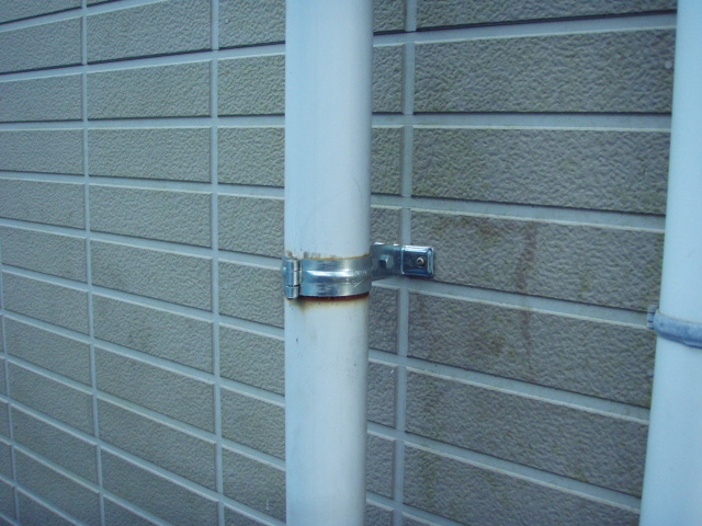 b0071653_165847.jpg