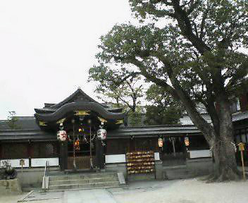 d0041553_9153990.jpg
