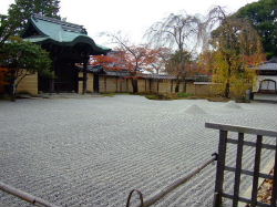 e0088654_1415777.jpg