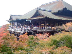 e0088654_2273530.jpg